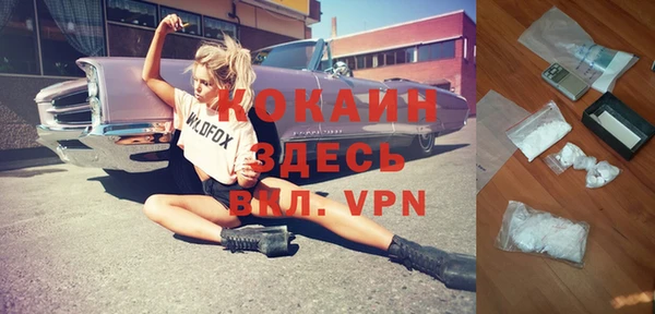 гидра Абаза