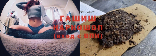 гидра Абаза