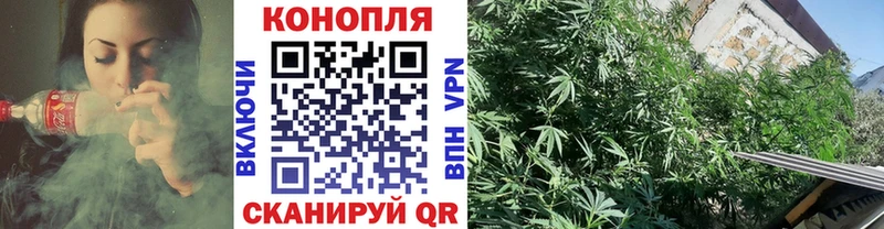 Конопля план  купить наркоту  kraken ТОР  нарко площадка какой сайт  Грязи 